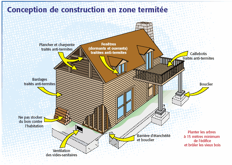 construction maison bois en zone termite